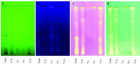 Tlc Chromatogram Of Five Vachellia Extracts Showing Radical Inhibitory Download Scientific