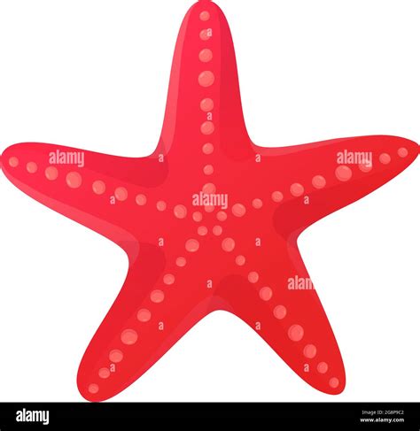 Red Starfish Seashell Beach Clipart Ocean Star Element Concept Stock