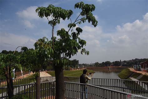 Waduk Brigif Dan Lebak Bulus Didesain Tampung Kali Salak Dan Grogol