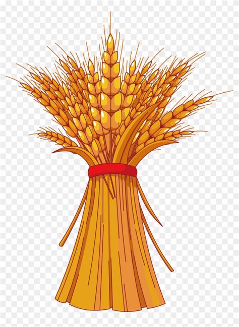 Harvest Festival Autumn Free Content Clip Art Wheat Clip Art Free