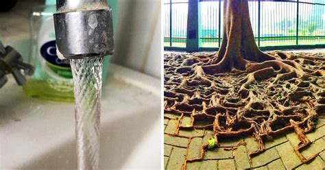 We’ve Found Sights So Strange, They Hit You Like a Ton of Bricks ...