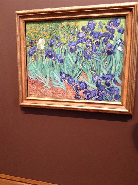 Irises, Vincent, Van Gogh, The J. Paul Getty Museum, Los Angeles ...