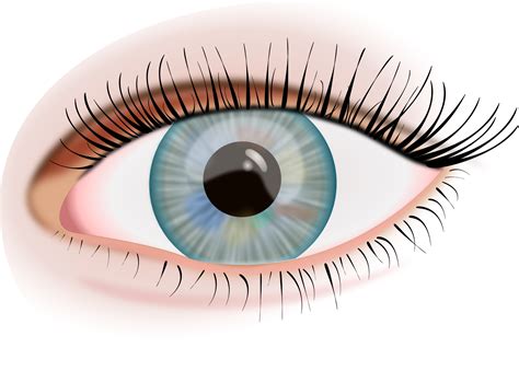 Download Eye Png Image For Free