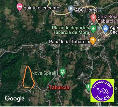 Finca en tabarcia de mora 3 5 hectáreas en venta en Mora Terrenos