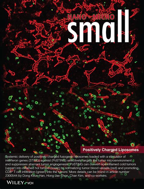 Systemic Delivery Of A Sting Agonistloaded Positively Charged Liposome