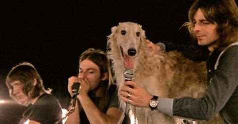 The Amazing Story Behind Pink Floyd Dog Song