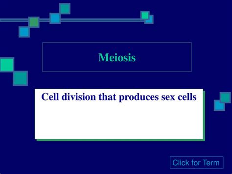 Chapter 5 Heredity Ppt Download