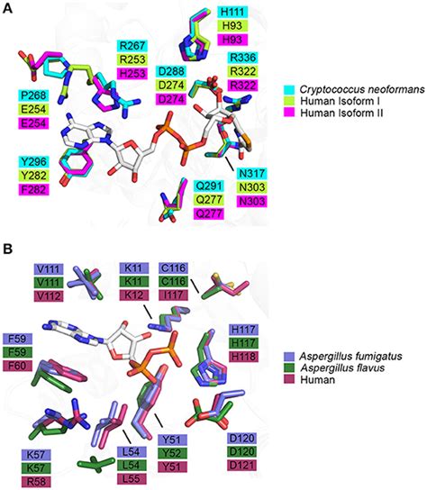 Frontiers Targeting Unconventional Pathways In Pursuit Of Novel