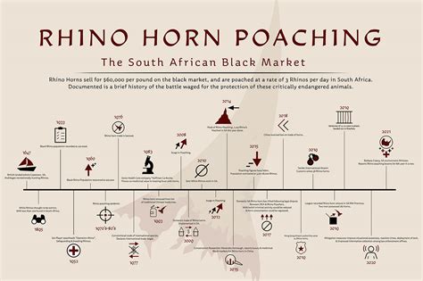 Rhino Horn Poaching: The Black Market Infographic on Behance