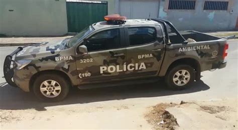 Filhote De Jacar Encontrado Em Casa No Df Distrito Federal G