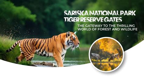 Sariska National Park Tiger Reserve Gates - Sariska Park