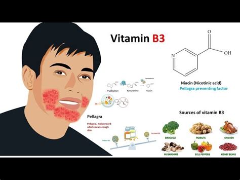 Niacin Vitamin B3 What Is It And What Are The Benefits 47 Off