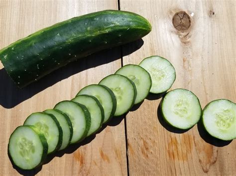 Slicing Cucumber — Sound Bites Delivers