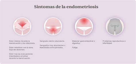 Atrofia Endometrial é Grave BRAINCP