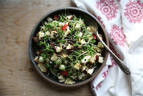 Salade De Lentilles Et C Leri Rave R Ti Glouton