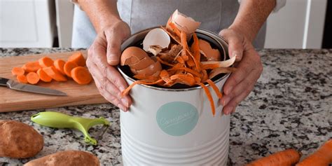 Cómo hacer abono casero aprovecha las sobras de la comida y dale una