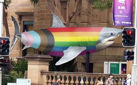 Progress Shark Accidental Sydney Worldpride Icon Goes Viral