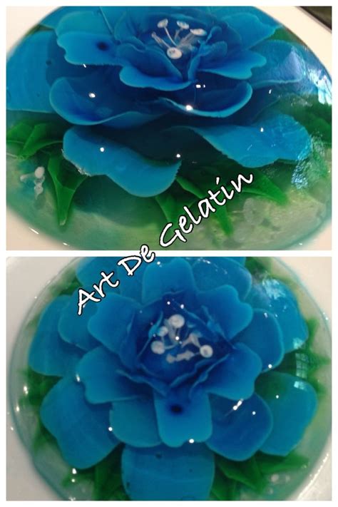 Pin De Art De Gelatin 3d Edible Gelat En Art De Gelatin Gelatinas