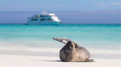 Viaggio alle Galapagos di 8 giorni Santa Cruz Isabela Bartolomé