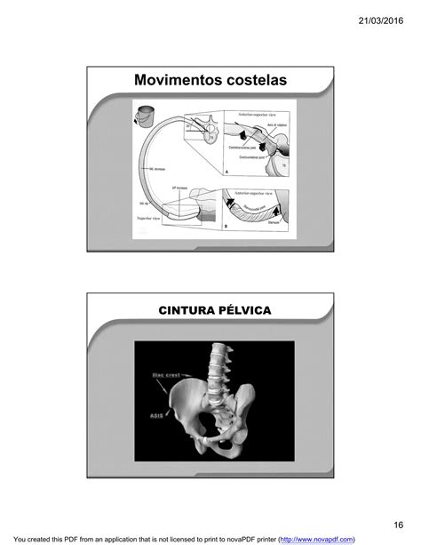 Biomecanica E Cinesiologia Da Coluna Vertebral PDF