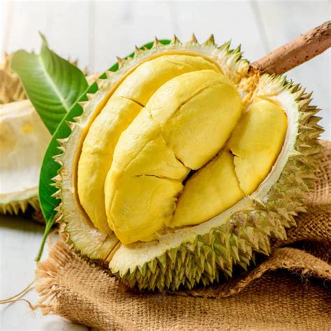 Kerala Durian Fruit Varieties Archives Greens Of Kerala