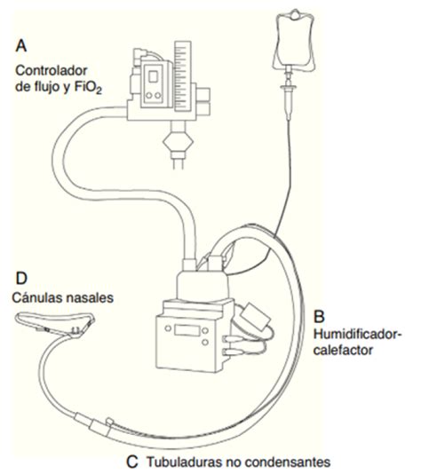 Vista De C Nula Nasal De Alto Flujo En Pacientes Cr Ticos Una Revisi N