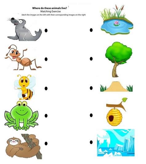 Activity Sheets For 4 Year Olds K5 Worksheets Kids Math Worksheets