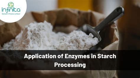 Application Of Enzymes In Starch Processing Infinita Biotech