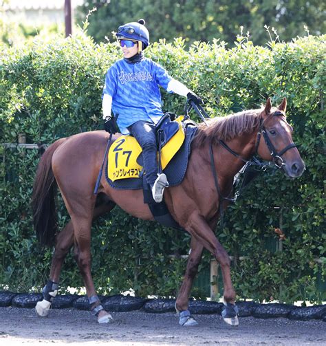 【函館スプリントs】ウイングレイテストは初の1200メートル戦に挑む 陣営「平坦コースもいい」 Umatoku 馬トク