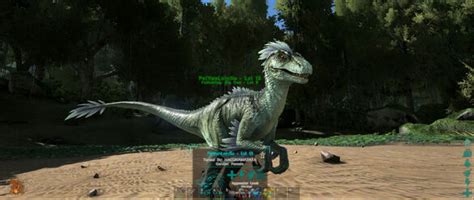 Raptor | ARK: Survival Evolved Wiki | Fandom