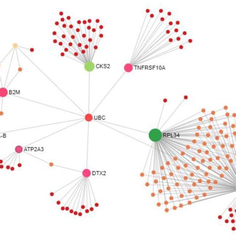 Ppi Network Of Shared Differentially Expressed Genes With Additional