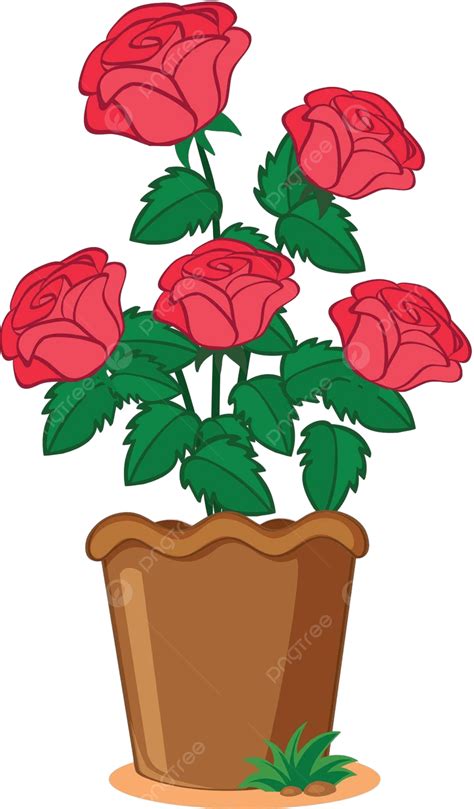 Rosas Rosadas En Maceta Blanco Natural Verde Vector PNG Dibujos Blanco