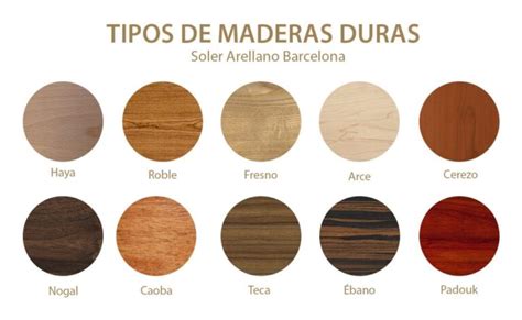 Qu Tipos De Madera Dura Hay Maderia Es