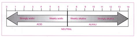 Cbse Class 10 Science Practical Skills Ph Of Samples