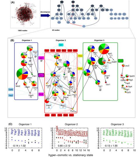 Topological Organization Of Signal Integration A Decomposition Of