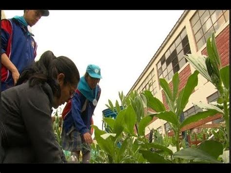 Renovables Per Jallalla Pachamama Escolares Re San Agua Para