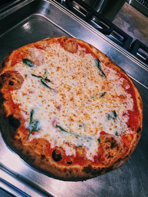 [Homemade] Cheese pizza : r/food