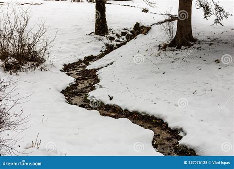 Europe Winter Scenery with Frozen Landscape Stock Photo - Image of ...