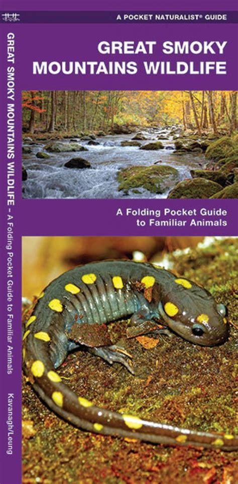 Great Smoky Mountains Wildlife: A Folding Pocket Guide to Familiar Species | NHBS Field Guides ...