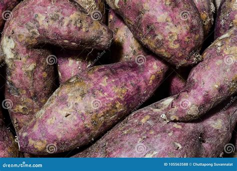 Purple Yams Pile On A Table Royalty Free Stock Image 281512186