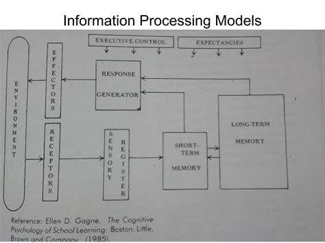 Cognitive Theories Of Learning Ppt