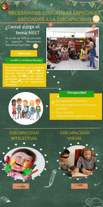 Necesidades Educativas Especiales Asociadas A Discapacidad