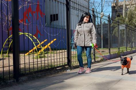 Joven Latina Feliz Al Atardecer Caminando Hacia El Parque Con Su Perro Foto Premium