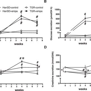 The Effect Of Empagliflozin Treatment On Insulin Sensitivity Muscle