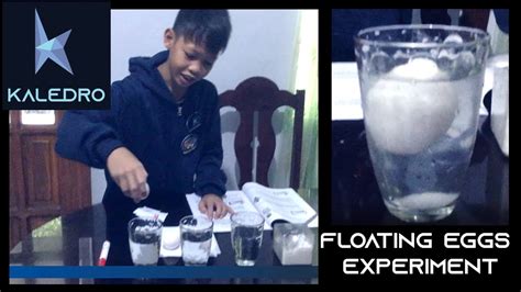 Grade 7 Science Floating Eggs Experiment Youtube