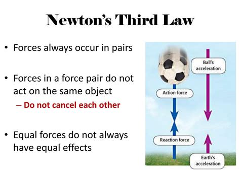 Simple Example Of Newtons 3rd Law