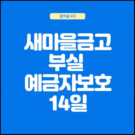 새마을금고 내 돈 안전한가요 부실 뱅크런 예금자보호 14일 알아보기