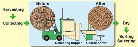 Soybean Coarse Sorter Large Type With Elevator Hdw 7sh22