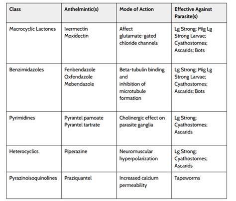 Equine Parasites Flashcards Quizlet