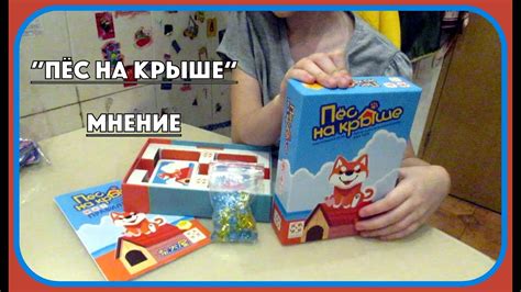Настольная игра "Пёс на крыше" МНЕНИЕ игроков - YouTube